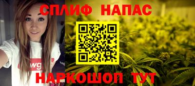 спиды Сланцы