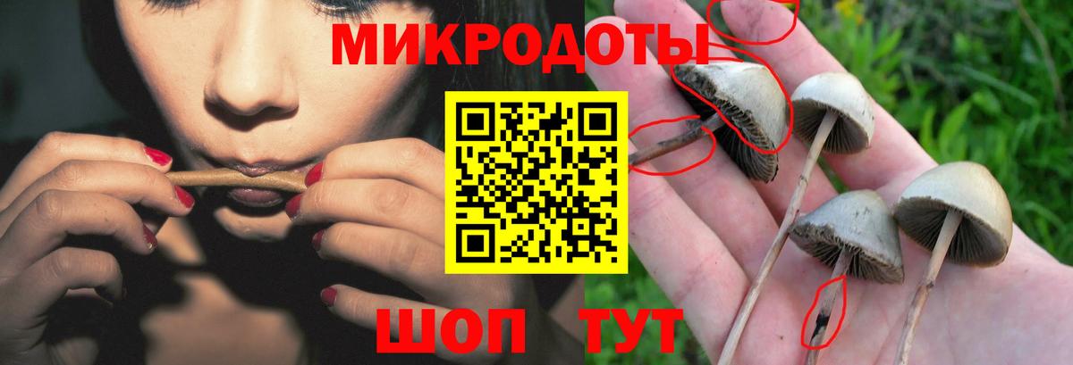 Галлюциногенные грибы прущие грибы Богородск